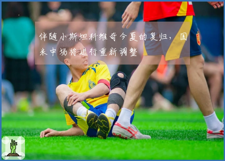 伴随小斯坦科维奇今夏的复归，国米中场将进行重新调整