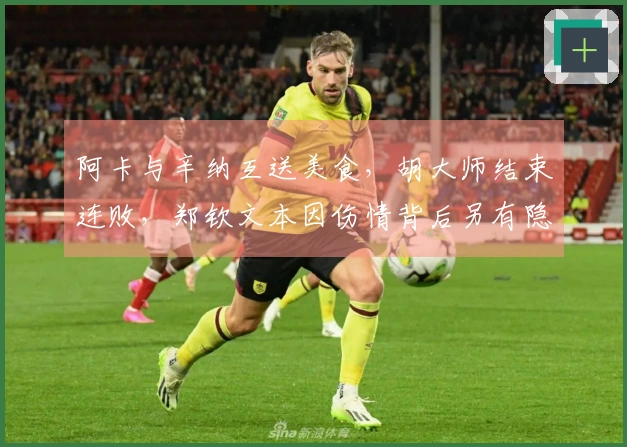阿卡与辛纳互送美食，胡大师结束连败，郑钦文本因伤情背后另有隐秘？